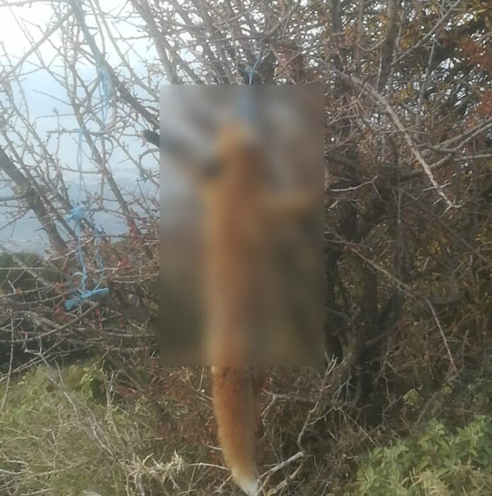 7i4i46ΠΑΤΡΑ 1124 768x774