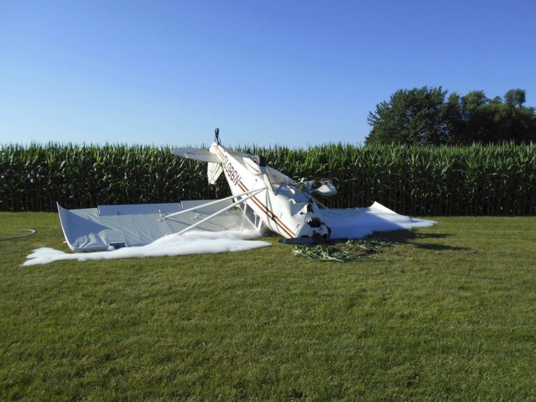 Small Plane Crash Michigan