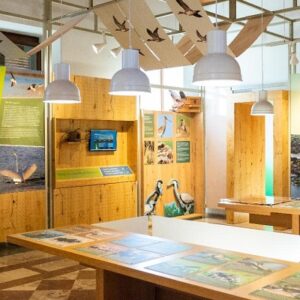 STROFYLIA=PARKKO UNSTITOYUTO