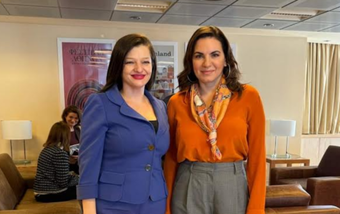 avgerinopoulou kefalogiannh