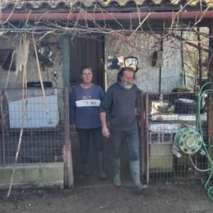 νικολούλιας 768x346