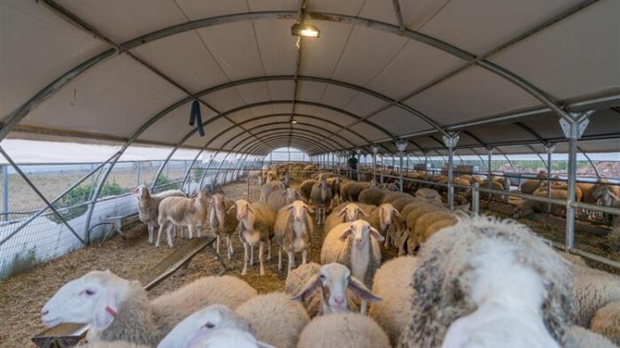 4a9f4fe1 8330 4d3a b0fa 8fffba626e96