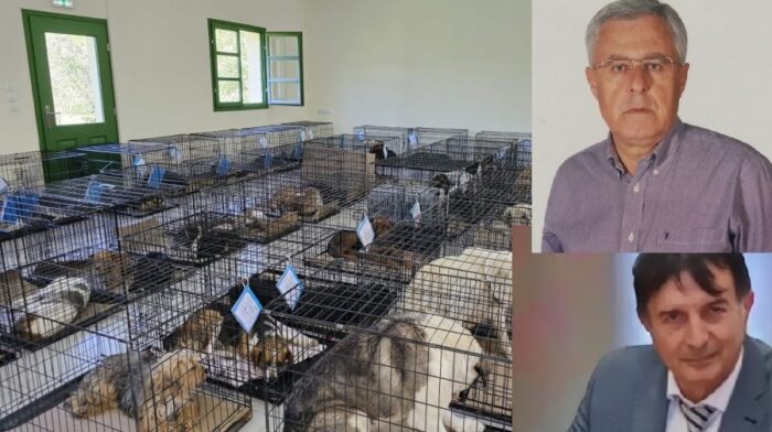 987f622faad684d50e89b79c0c6f93c2 XL