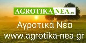 AGOTIKA NEA