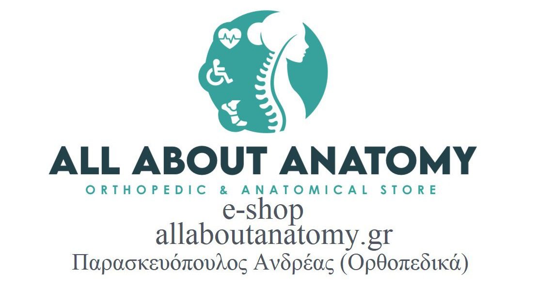 All About Anatomy 1