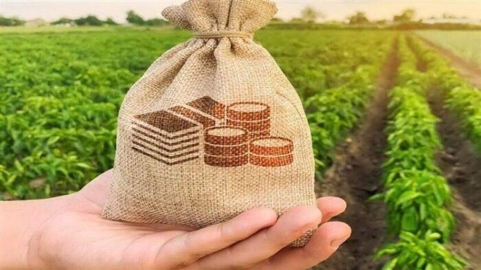 agrotes foros 1280x720