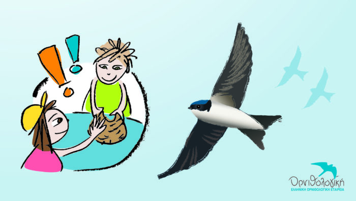 AFISA XELIDONISMATA empty 2016