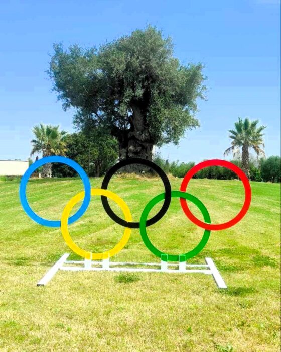 436128628 810318864459645 3990830168849053132 n