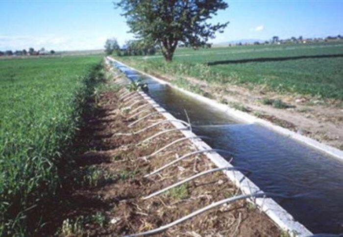 aulaki ruaki ardefsi