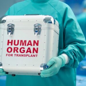 dorea organa human organ transport 1