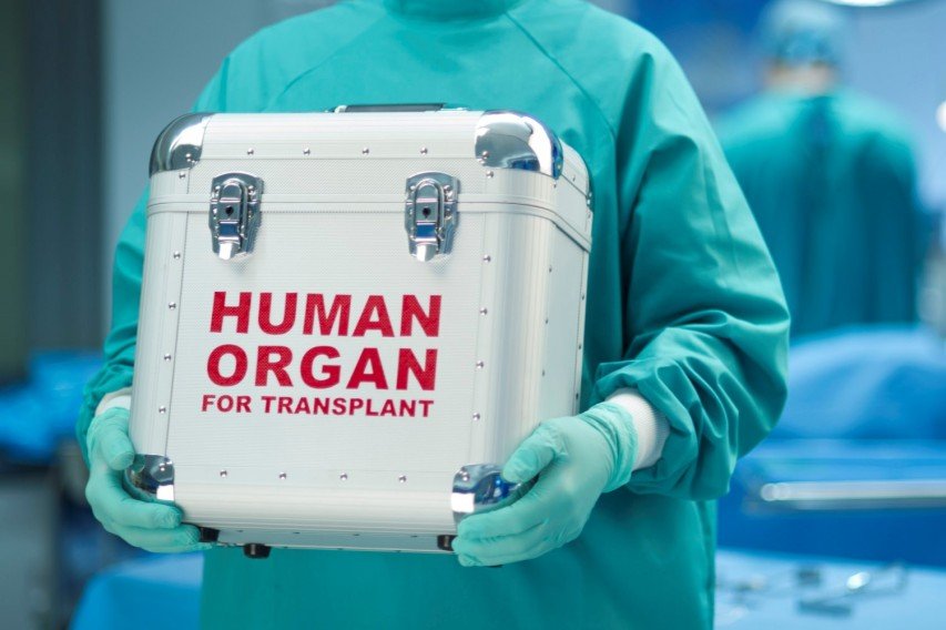 dorea organa human organ transport 1