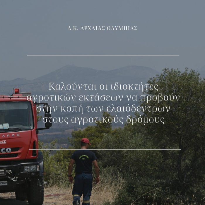 εικόνα Viber 2024 04 25 14 39 24 639