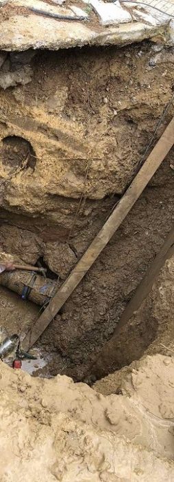 blavi vlavi ydreysfi nero