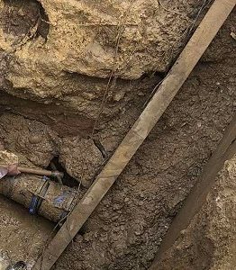 blavi vlavi ydreysfi nero