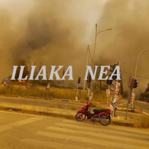 441562160 7843991832313207 2782680107561386779 n