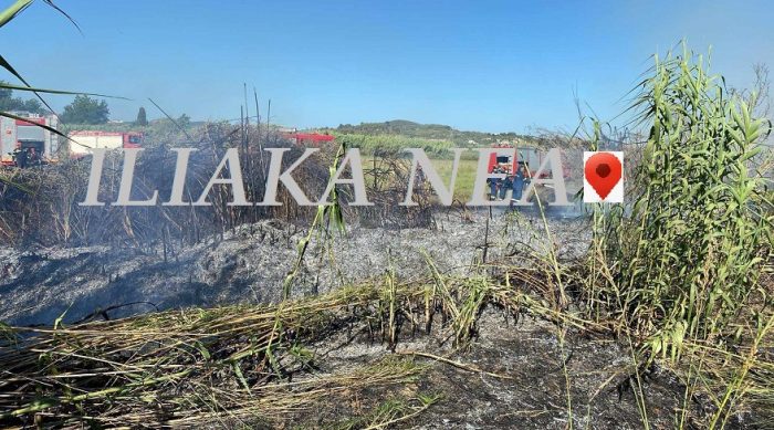 pyrkagia pyrosvetsiki pin