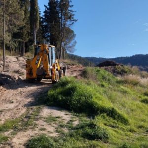 pyroprostasia 1 1 GREIDER