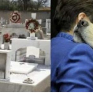 455C8E04 6791 4FD8 B939 30F4B0435BA0 1158x573