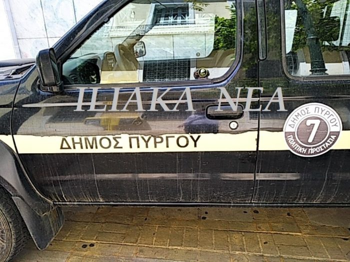 dimospyrgou oxima politikiprostasia prasino