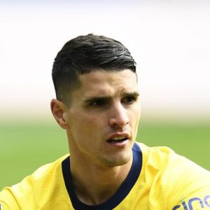 lamela