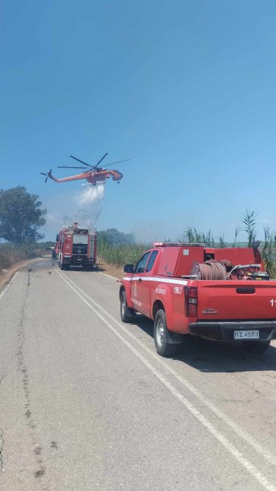 453108050 1026461272186159 4380660813215081955 n