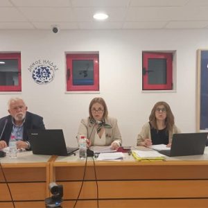 dimotko symvoulio amaliada ilida