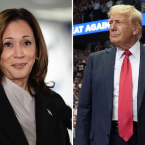 kamala trump 768x492