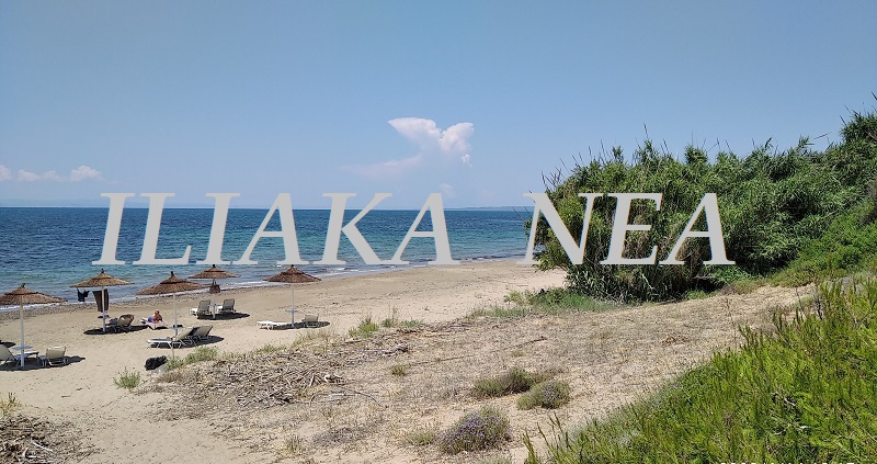 nature beach paralia (2)