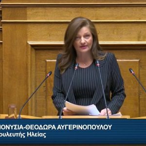 avgerinopoulou vouli