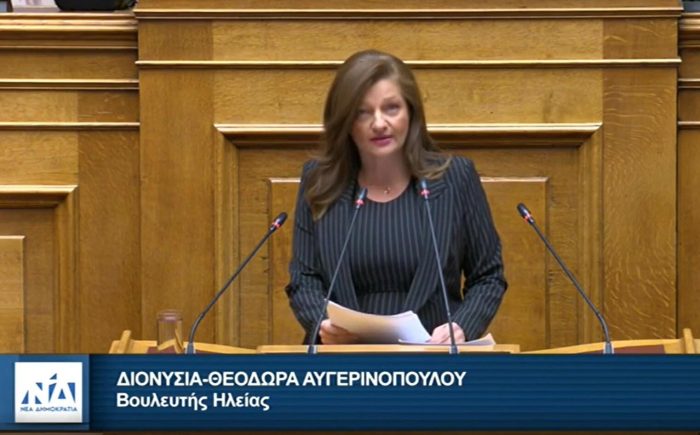 avgerinopoulou vouli