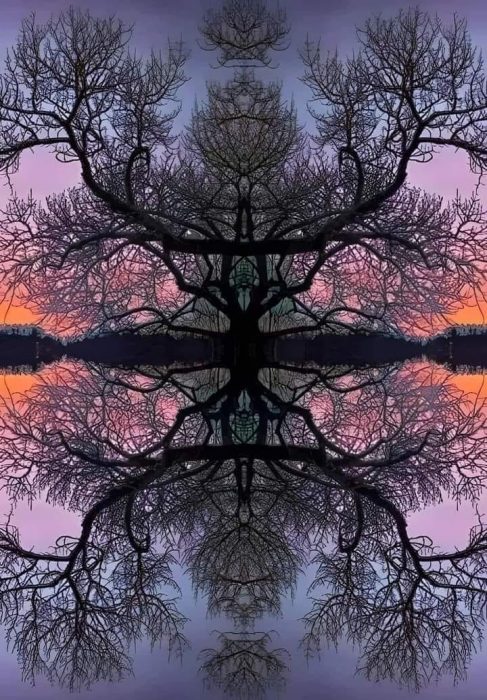 464495299 2406067519730664 4503739507640508627 n