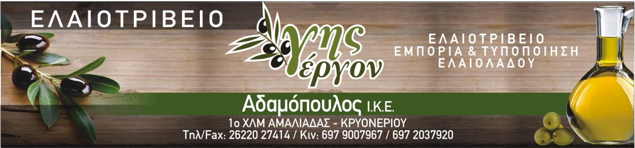 adamopoulos elaiotriveio ΚΑΡΤΕΣ 2024 ΤΕΛΙΚΕΣ