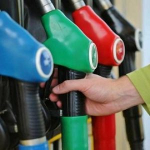 antlia benzini venzini kausima