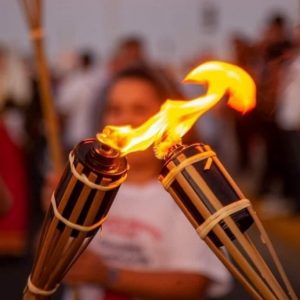 lampadidodromia floga