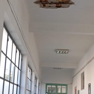 466593857 10234975931359766 8902474588799882387 n