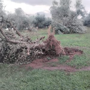 467573158 3765577407040549 5055059187536116771 n