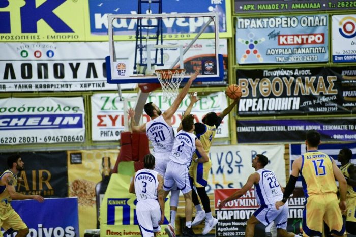 koirivopsobasket