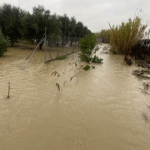 469400481 9144218475645107 1002680211068659740 n