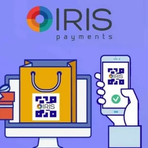 iris payments