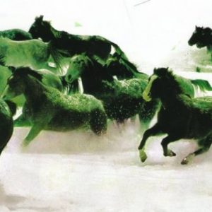 πρασιναλαογα prasinalaoga