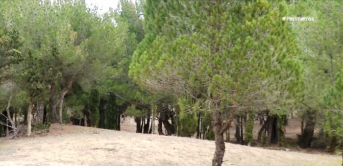 alsos dasos spia 768x372