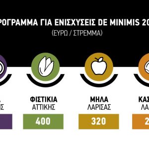 enisxeiseis deminimis site