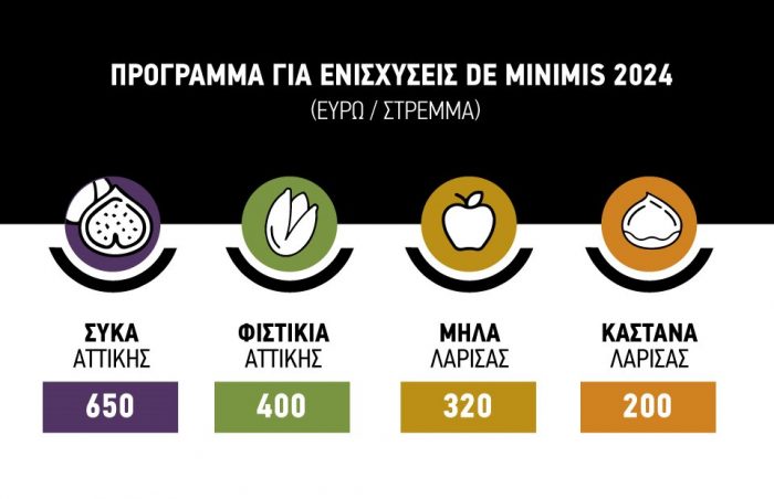 enisxeiseis deminimis site