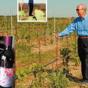 kosta simitis ambelia