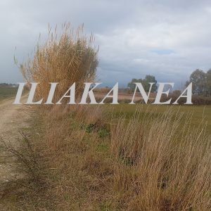 xorta agrotikos dromos (2)