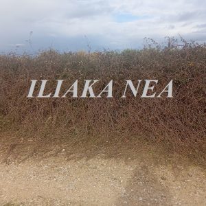 xorta agrotikos dromos (3)