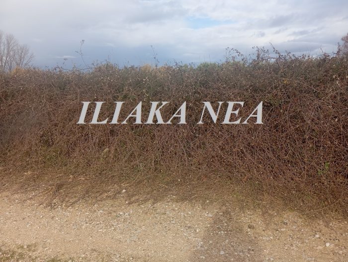 xorta agrotikos dromos (3)