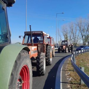 agrotes bloka