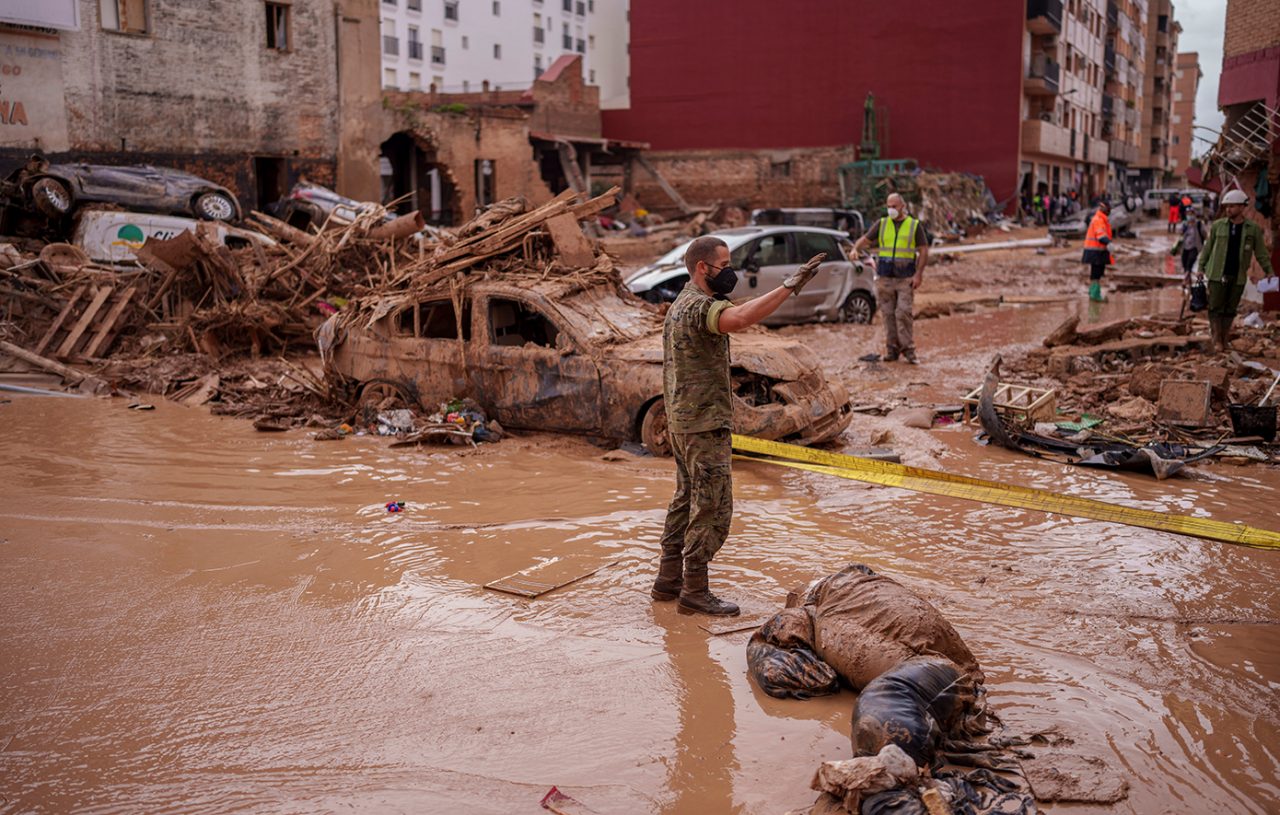 ispania plummires3