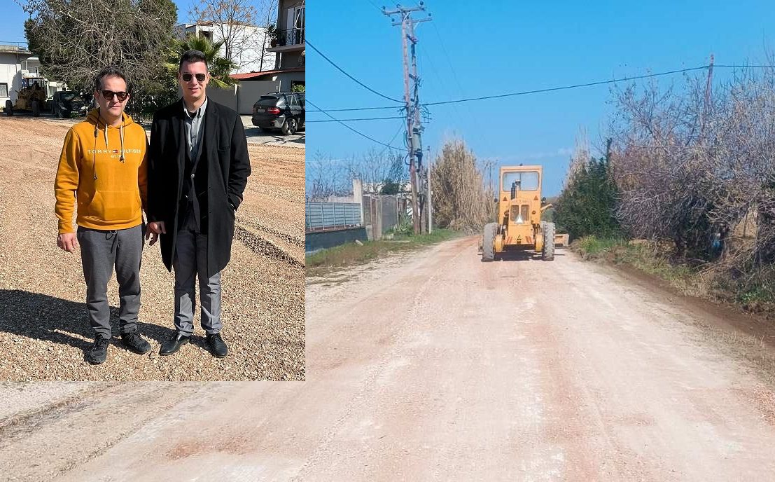 skalvenitis dromso erga